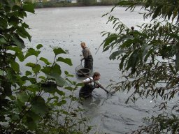 Abfischen 2006